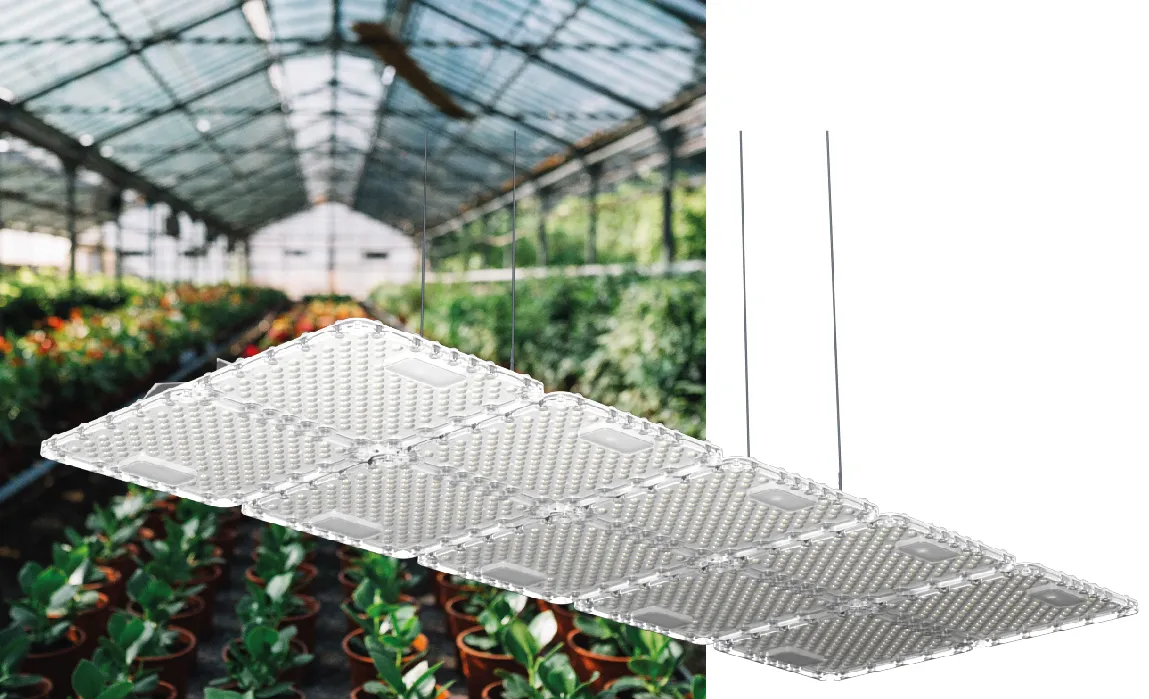 Greenhouse, общий вид